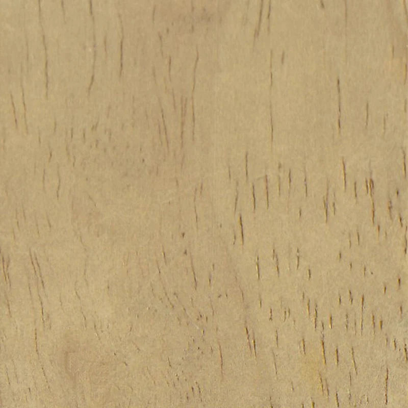 Modern Wood Frame Accent Chair